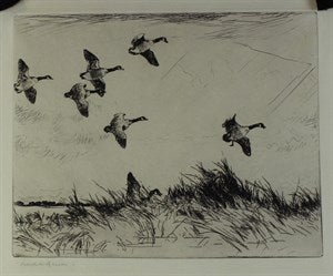 Image description is not available for DU1947.68